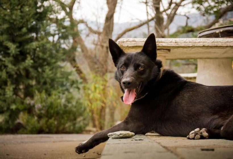 호텔 Agriturismo A Cà Vegia