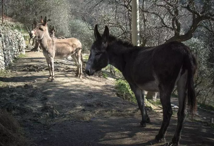 Hotelli Agriturismo A Cà Vegia
