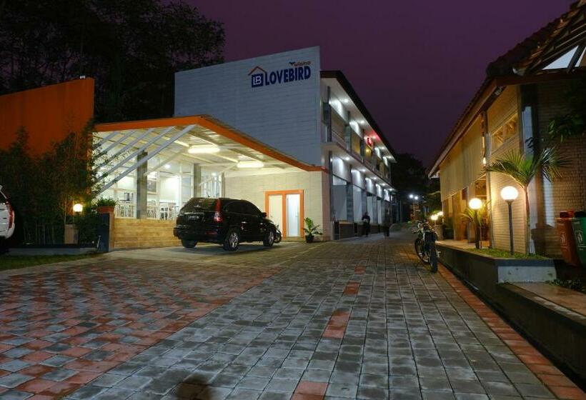 Hotel Wisma Lovebird