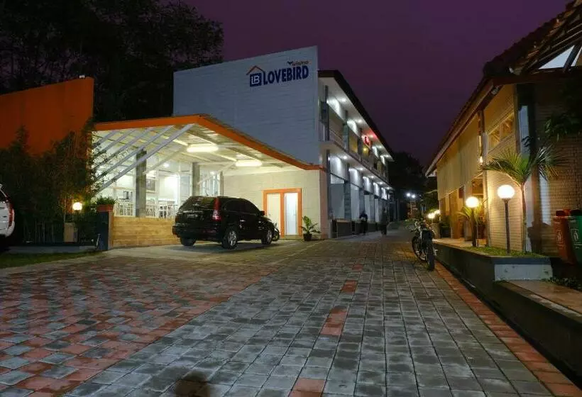 Hotel Wisma Lovebird