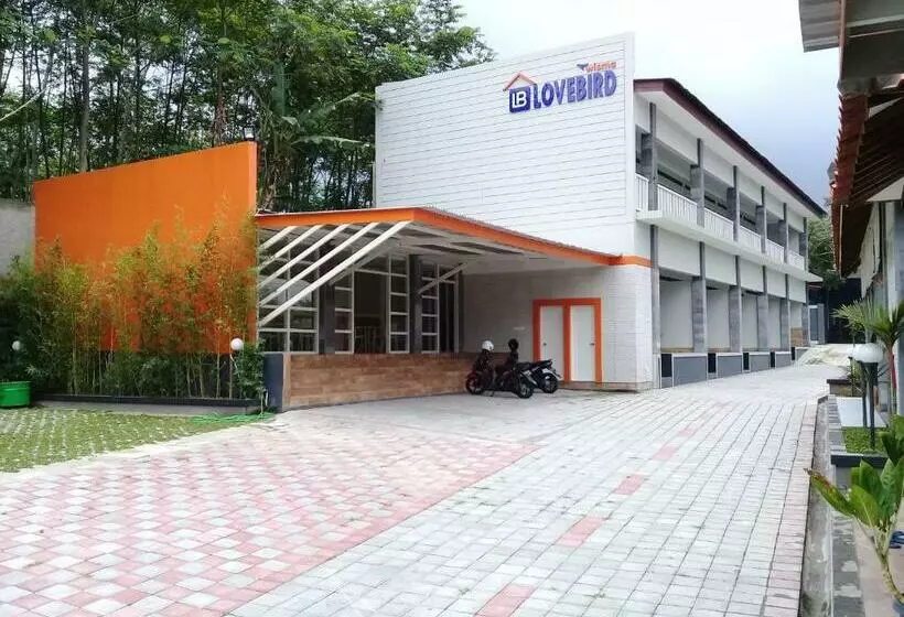 Hotel Wisma Lovebird