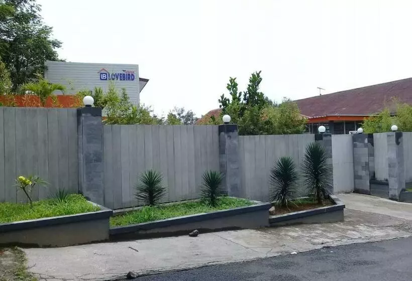 Hotel Wisma Lovebird