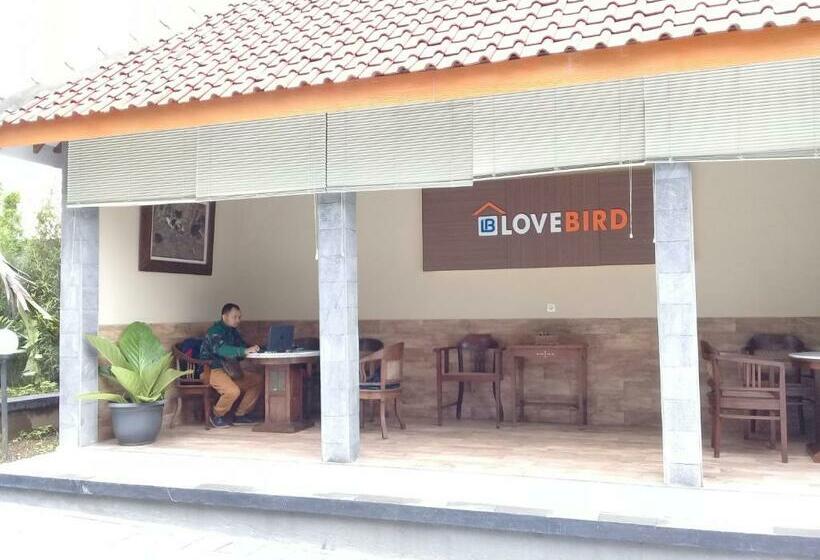 Hotel Wisma Lovebird