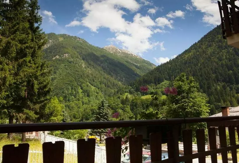 Lou Loop B&b