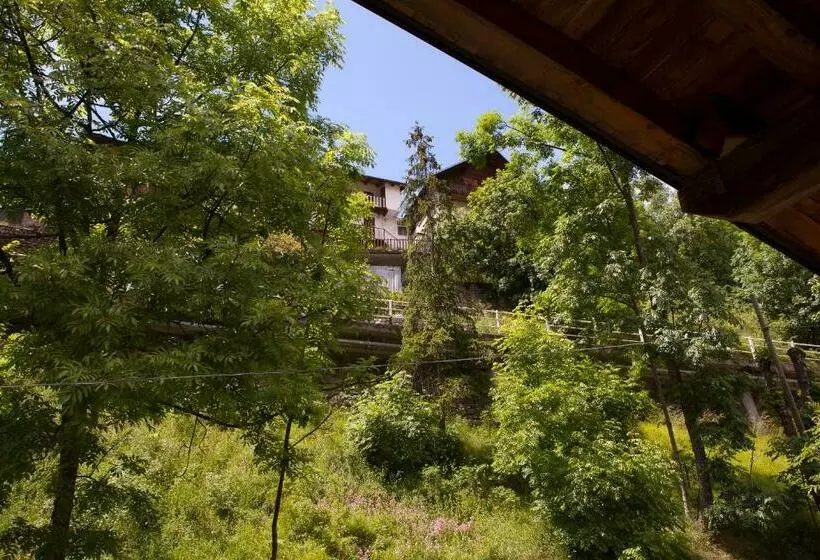 Lou Loop B&b