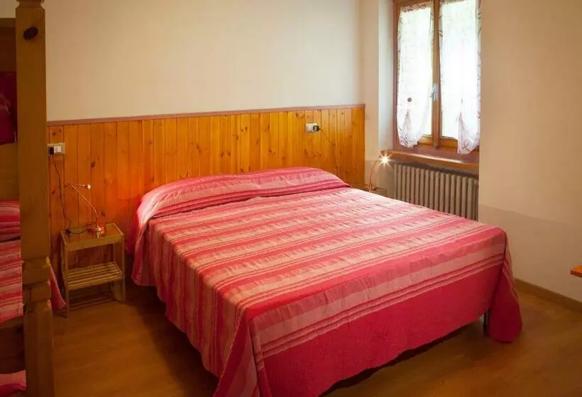 Lou Loop B&b