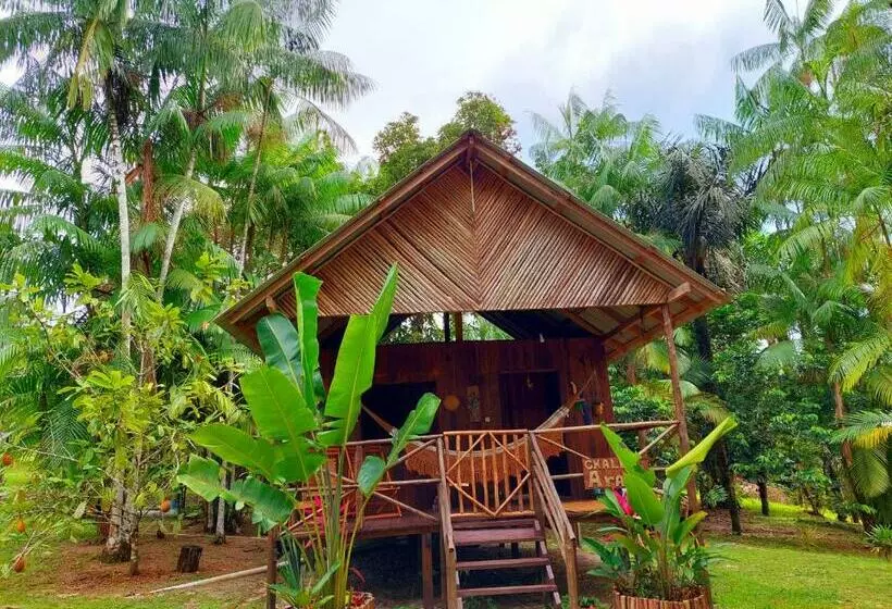 ペンション Ponta Poranga Jungle Lodge