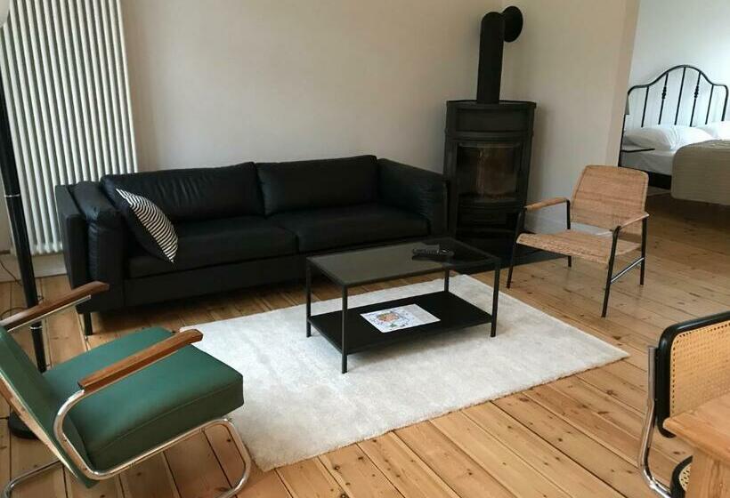 פנסיון Villa Friedenstraße 11