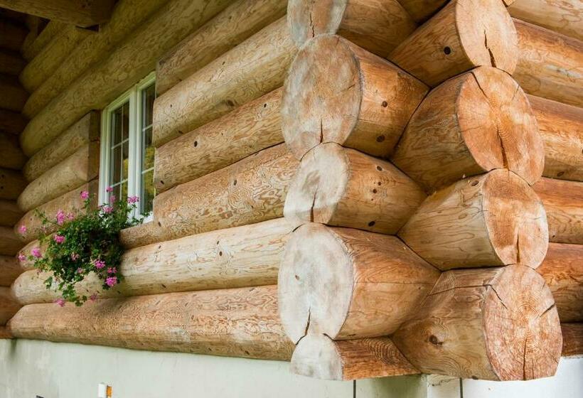 Bed and Breakfast Chalet Le Dorf