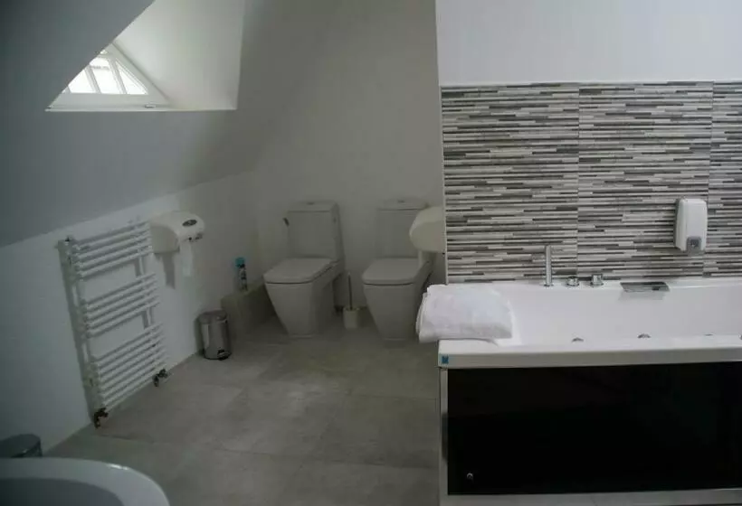 Aamiaismajoitus (B&B) Chateau De Vaugrignon   Beer Spa