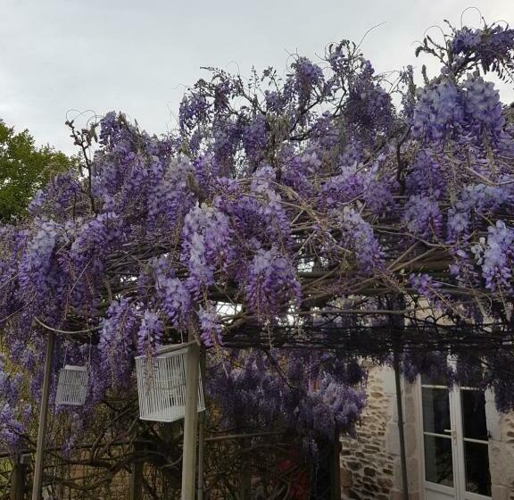 پانسیون La Thibaudiere Glycine