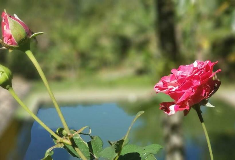 بنسيون Recanto Luamar Pousada