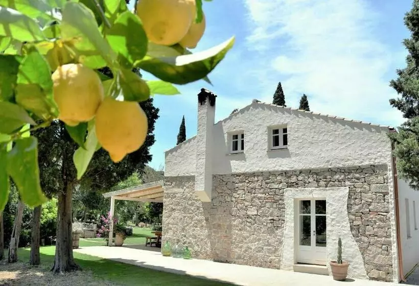 B&b Giallo Limone