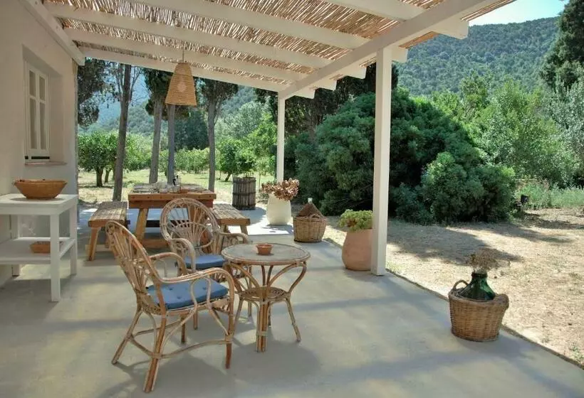 B&b Giallo Limone