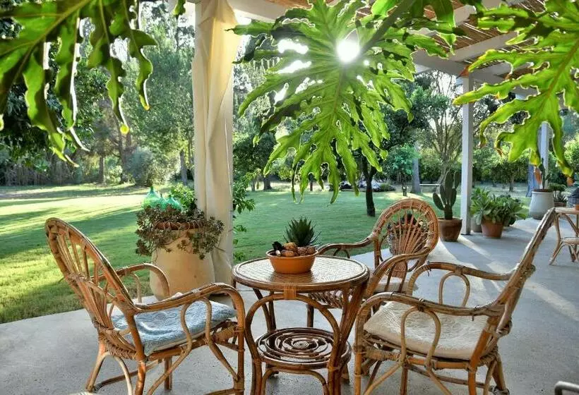 B&b Giallo Limone