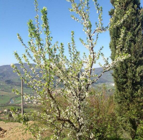 בית מלון כפרי Agriturismo Prato Barone