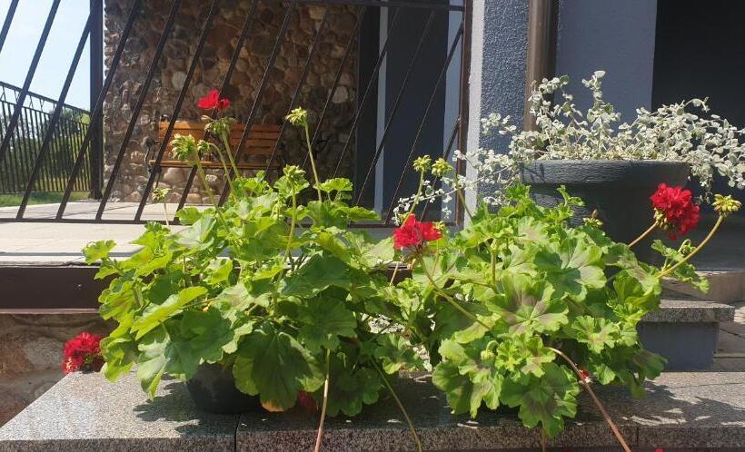 هتل Viešbutis Banga