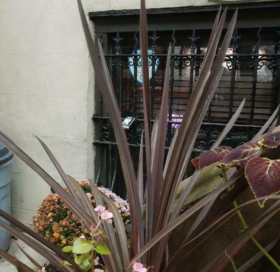 פנסיון Irving Manor