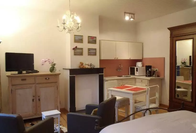 پانسیون Knokke Guestroom Charming Room In Knokke City Center Is Pet Friendly!