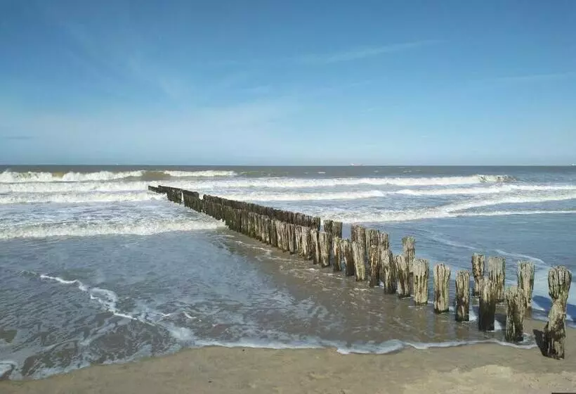 پانسیون Knokke Guestroom Charming Room In Knokke City Center Is Pet Friendly!