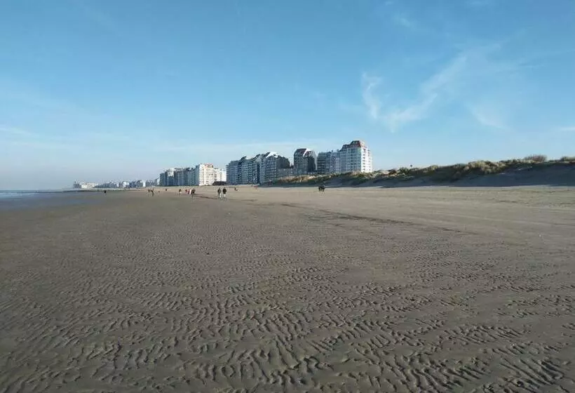پانسیون Knokke Guestroom Charming Room In Knokke City Center Is Pet Friendly!