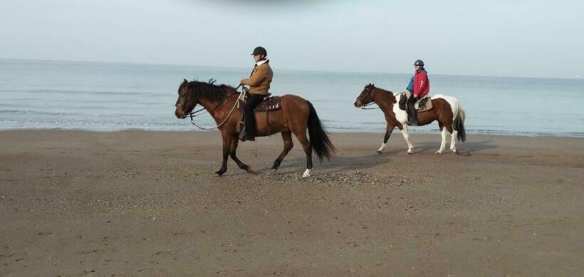 Пансион Knokke Guestroom Charming Room In Knokke City Center Is Pet Friendly!