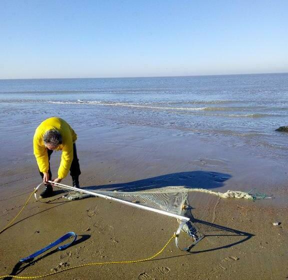 Пансион Knokke Guestroom Charming Room In Knokke City Center Is Pet Friendly!