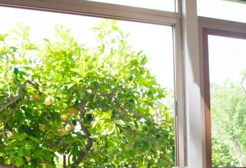 B&b Profumi Di Sicilia