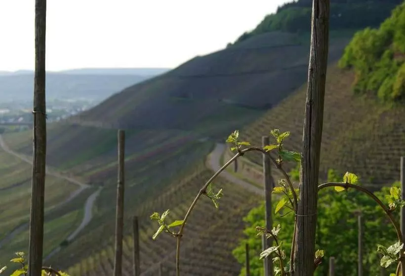 Hotelli Weingut Weich