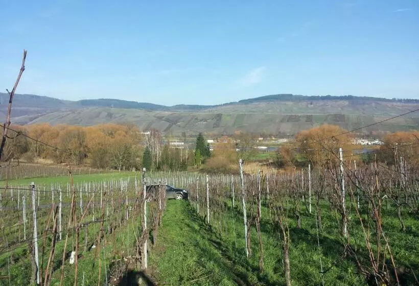 Hotelli Weingut Weich