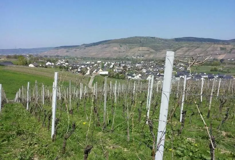 Hotelli Weingut Weich