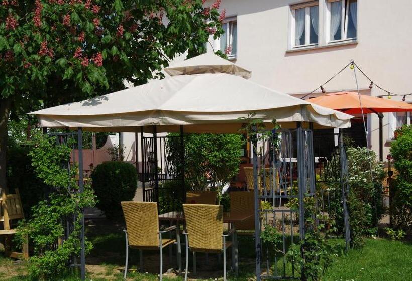 בית מלון כפרי Weingut Weich