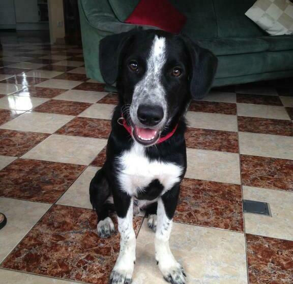 Loreley Bed And Breakfast