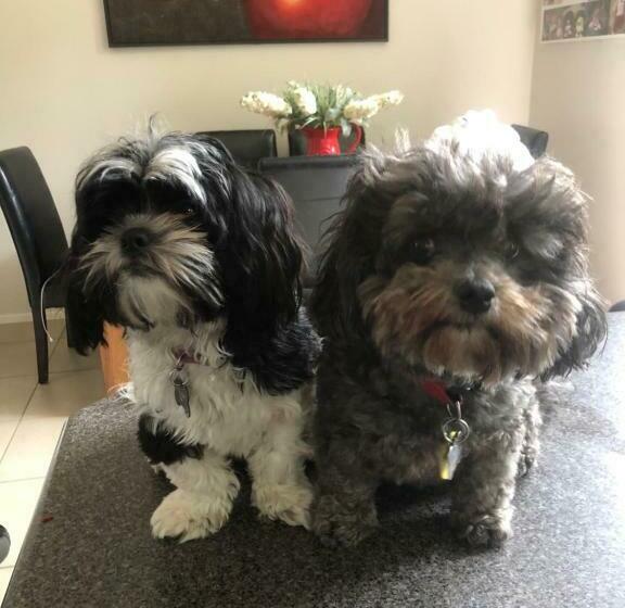 Пансион Quiet Boutique Generous Breakfast