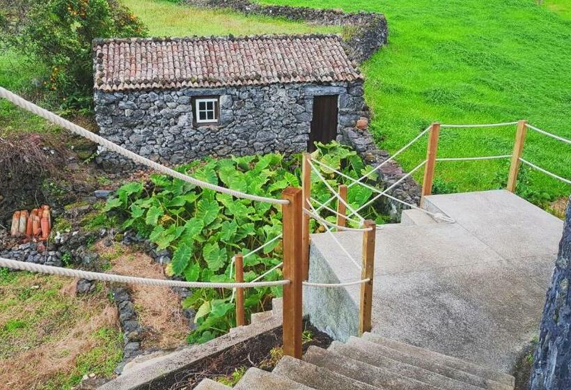 Bed and Breakfast Casa Dos Caldeiras