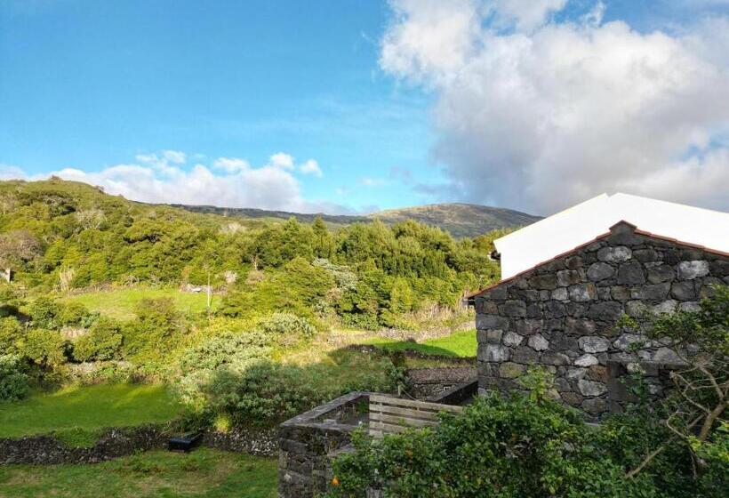 Bed and Breakfast Casa Dos Caldeiras