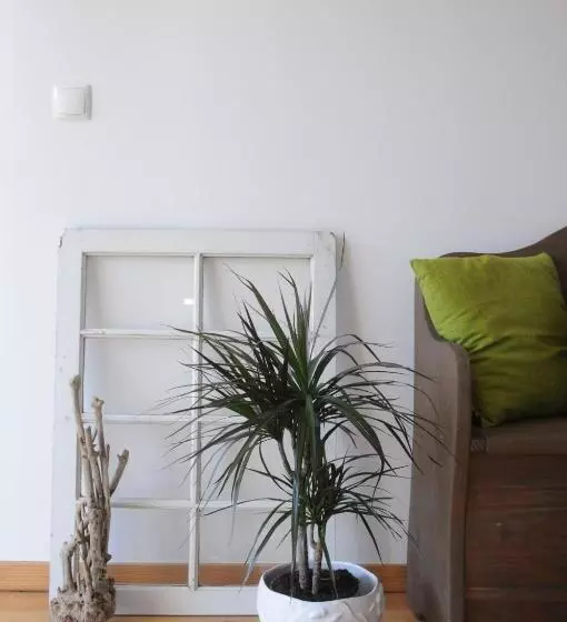 ベッドアンドブレックファースト Casa Dos Caldeiras