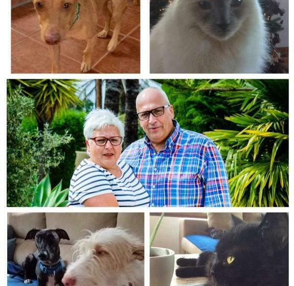 Bed and Breakfast Casa Jetizo