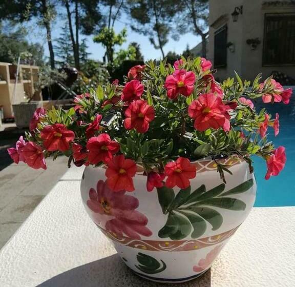 Bed and Breakfast Casa Jetizo