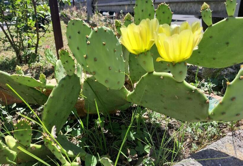 بنسيون Mediterranean Concept House