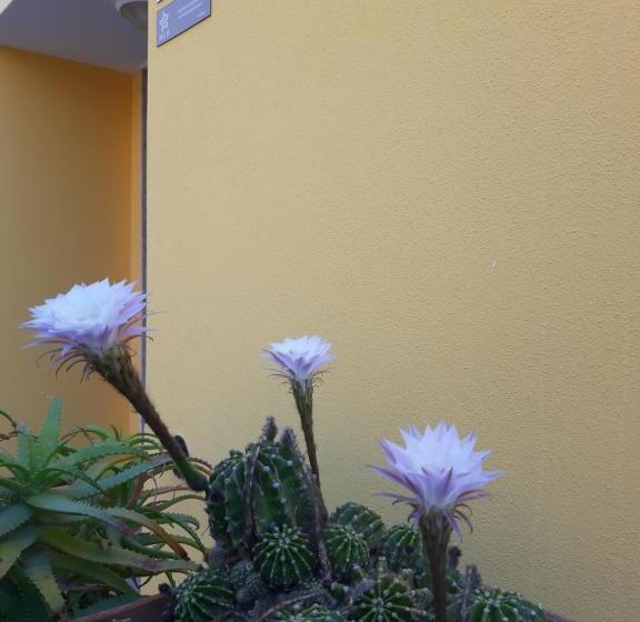 بنسيون Mediterranean Concept House