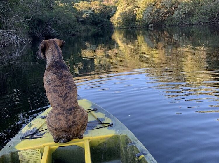 פנסיון Pousada Belvedere Da Serra
