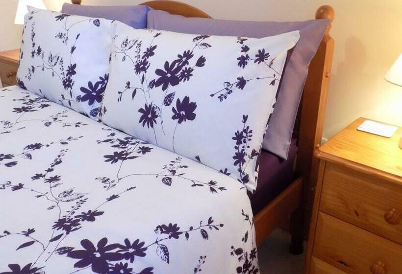 Bed and Breakfast Bosta 12 Knock