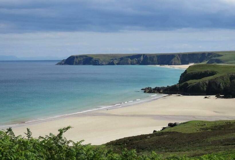 Bed and Breakfast Bosta 12 Knock