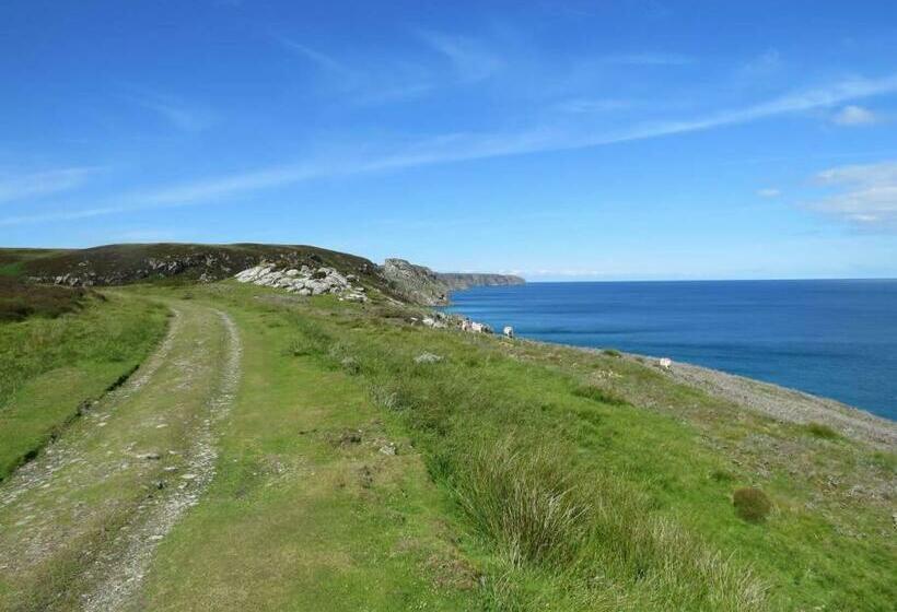 Bed and Breakfast Bosta 12 Knock