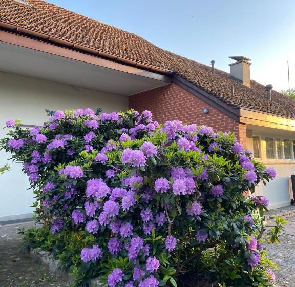 צימר Casa Wellbella