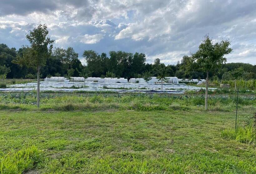 ベッドアンドブレックファースト Hof Ter Dreef