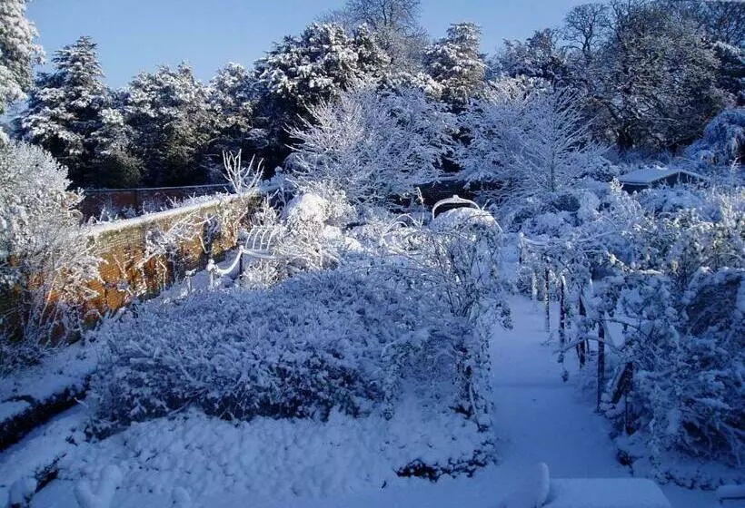 ベッドアンドブレックファースト The Courtyard