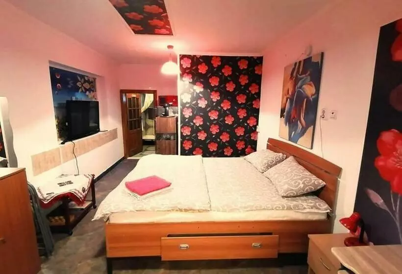 Majatalo Hostel Pascalis Alesd