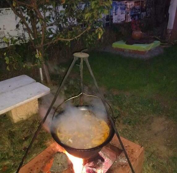 ペンション Hostel Pascalis Alesd